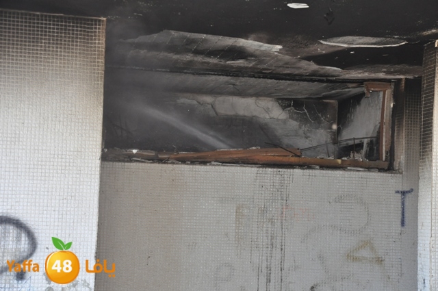 fireshekonatelarab (26).JPG